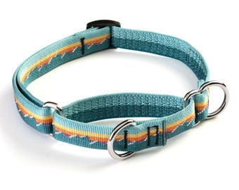 May include: A teal dog collar with a woven pattern of orange, yellow, and white stripes. The collar has two silver metal rings and a black plastic buckle. The collar is designed to be adjustable.