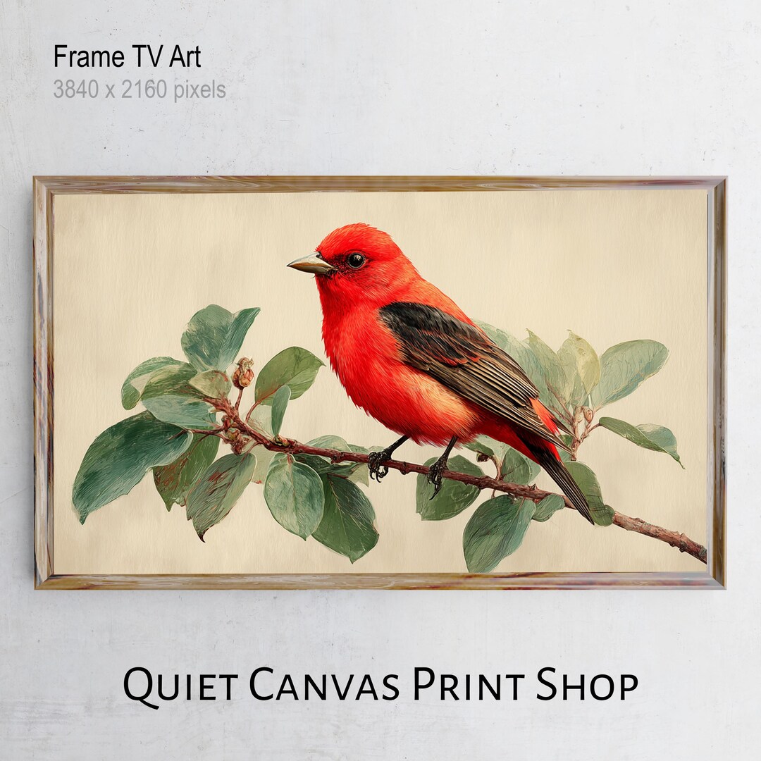 Vintage Scarlet Tanager Art Frame TV, Rustic Bird Painting (digital ...