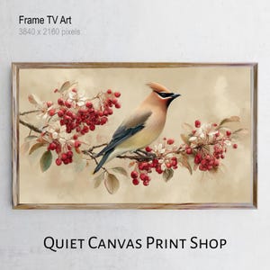 Könnte beinhalten: Gerahmter Druck eines Vogels, der auf einem Ast mit roten Beeren und weißen Blüten sitzt. Das Kunstwerk hat einen neutralen Hintergrund und ist mit "Frame TV Art" und "QUIET CANVAS PRINT SHOP" beschriftet. Der Vogel hat braune, beige und schwarze Federn.