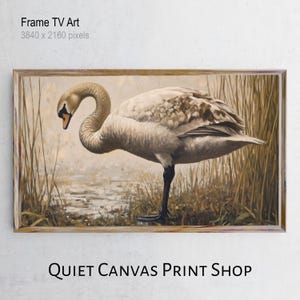 May include: A framed print of a swan standing in tall grass near water. The swan has white and brown feathers, a curved neck, and a black leg. The frame is a light brown color. Text at the top reads "Frame TV Art" and at the bottom "QUIET CANVAS PRINT SHOP".