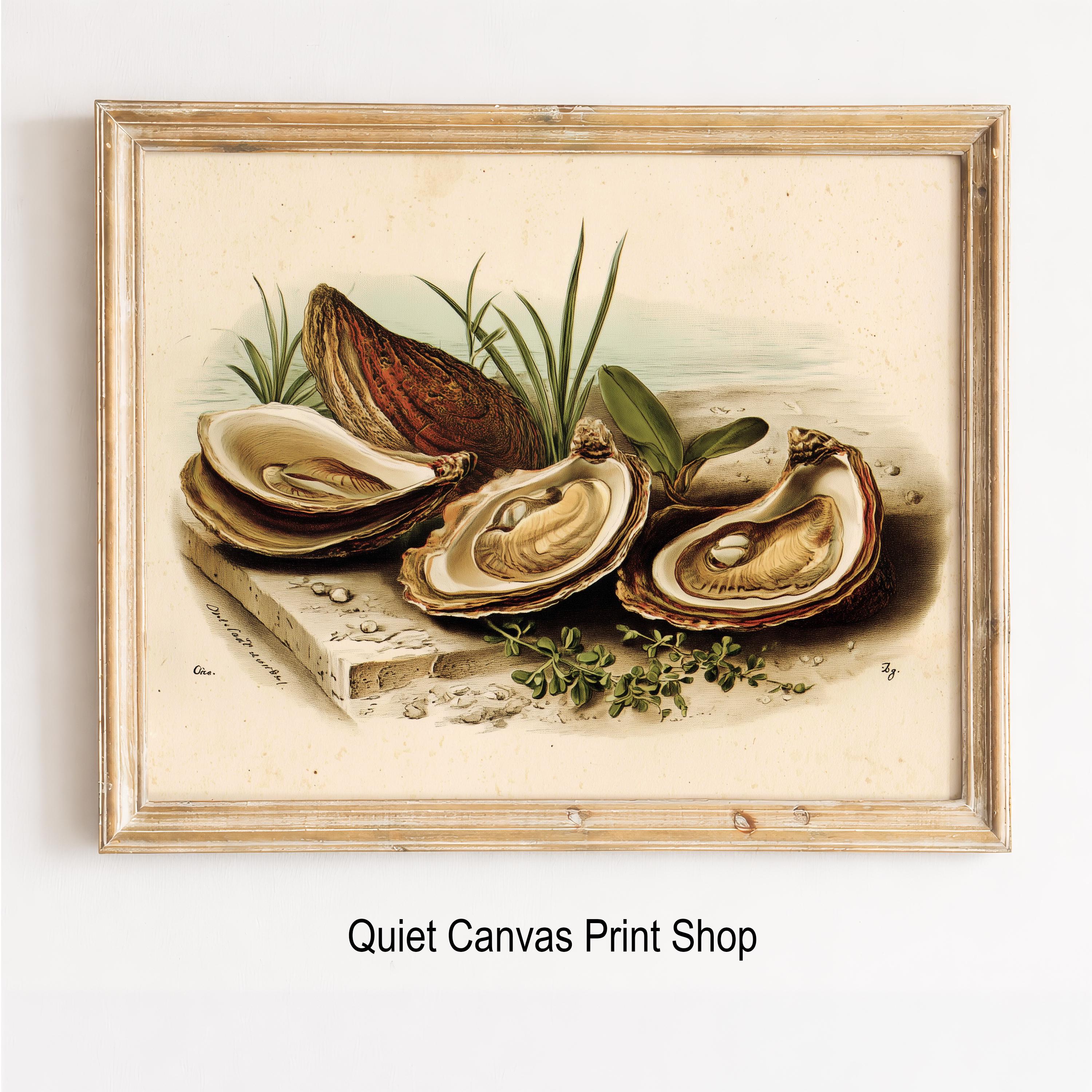 Vintage Oyster Botanical Print – Coastal Farmhouse Wall Art