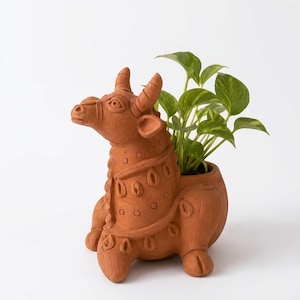May include: A terracotta planter shaped like a seated bull with decorative etched patterns on its body. The bull has curved horns and a harness-like design around its neck. A green leafy plant is growing out of the hollow back of the bull figure.