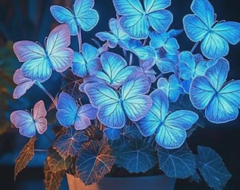 50pcs/pack blue hosta plant seeds hosta plantaginea garden flowers