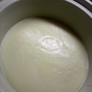 Op de afbeelding: Een close-up van een lichtgekleurde vloeistof in een grijze keramische slowcooker. De vloeistof heeft een romige, ondoorzichtige uitstraling met subtiele oppervlaktestructuren en een paar bellen. De slowcooker is rond met een brede rand.