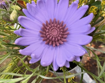Cornflower Coco 3D print file including commercial license STL 3MF | 3-piece flower for 8 mm & 10 mm wooden sticks | Flower stake, garden decoration, DIY