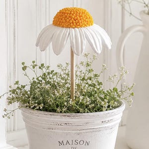 Könnte beinhalten: Ein weißer Blumentopf mit Used-Look und der Aufschrift MAISON DE CAMPAGNE FAIT MAIN FRANCE. Eine einzelne große Gänseblume mit leuchtend gelber Mitte und weißen Blütenblättern auf einem Holzstiel steht im Topf, umgeben von kleinem Grün.