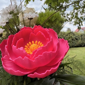 May include: A vibrant bouquet featuring a large, bright pink peony with a yellow center. The arrangement includes white daisies, a white rose, and green foliage. The flowers are set against a backdrop of green grass and trees.