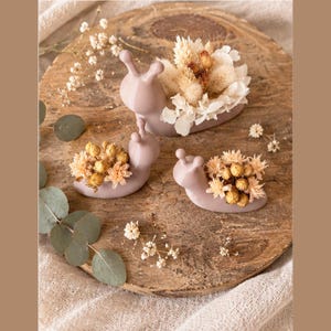 Op de afbeelding: Drie gladde, matte, mauvekleurige plantenbakjes in de vorm van een slak in verschillende maten, elk met een holle schelpholte gevuld met een arrangement van droogbloemen, waaronder witte hortensiabloemblaadjes en kleine gouden zaaddoosjes.
