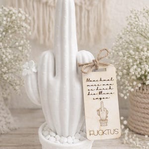 May include: A white ceramic cactus sculpture with a middle finger gesture, set in a white pot filled with small white stones. A wooden tag with text and a cactus illustration is attached with twine.