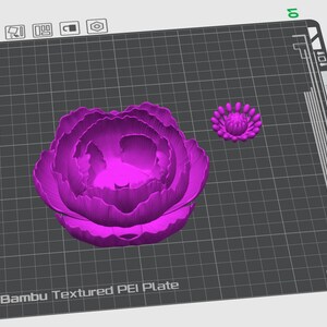 May include: A 3D-rendered image of a large, vibrant purple peony flower and a smaller flower bud. The flowers are on a textured gray surface with the text "Bambu Textured PEI Plate".