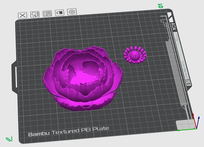 May include: A 3D-rendered image of a large, vibrant purple peony flower and a smaller flower bud. The flowers are on a textured gray surface with the text "Bambu Textured PEI Plate".