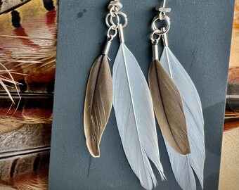 mallard feather earrings | handmade in the Pacific Northwest | lightweight & hypoallergenic