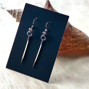 May include: A pair of handmade earrings featuring natural porcupine quills. The earrings have silver-colored hooks and small decorative elements. The quills are a creamy white color with brown tips, displayed on a black background.