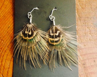 ring-necked pheasant feather earrings | handmade in the Pacific Northwest | lightweight & hypoallergenic