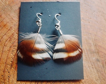 mountain quail feather earrings | handmade in the Pacific Northwest | lightweight & hypoallergenic