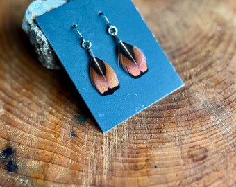 ring-necked pheasant feather earrings | handmade in the Pacific Northwest | lightweight & hypoallergenic