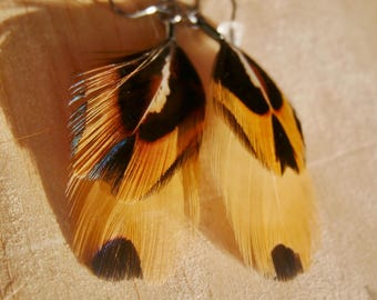 ring-necked pheasant feather earrings | handmade in the Pacific Northwest | lightweight & hypoallergenic