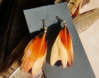 ring-necked pheasant feather earrings | handmade in the Pacific Northwest | lightweight & hypoallergenic