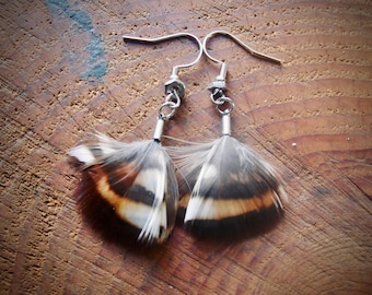 mountain quail feather earrings | handmade in the Pacific Northwest | lightweight & hypoallergenic