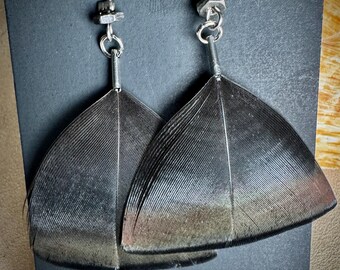 wild turkey feather earrings | handmade in the Pacific Northwest | lightweight & hypoallergenic
