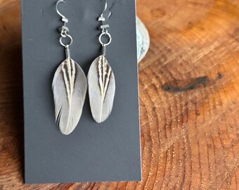 ring-necked pheasant feather earrings | handmade in the Pacific Northwest | lightweight & hypoallergenic