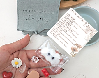 I'm Sorry Gift Set with Photo, Little Bag, Apology Charms