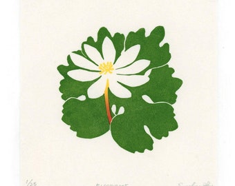 BLOODROOT - Color Linocut Relief Print
