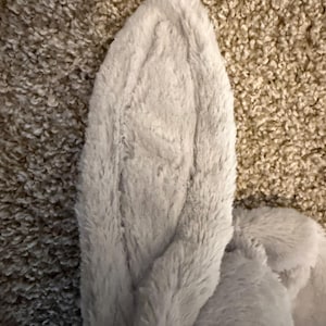 May include: A close-up of a plush, light gray bunny ear. The ear is soft and fluffy, with a textured surface. The ear is set against a neutral-toned, textured background.