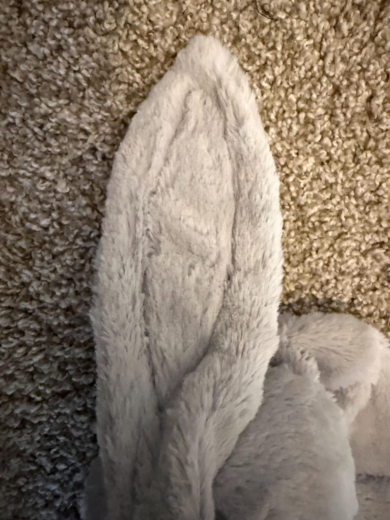 May include: A close-up of a plush, light gray bunny ear. The ear is soft and fluffy, with a textured surface. The ear is set against a neutral-toned, textured background.