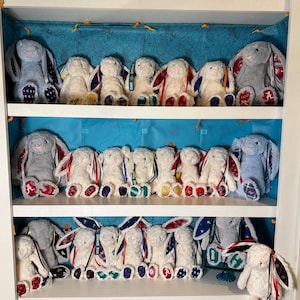 May include: A collection of plush bunny rabbits in a white display case. The bunnies are primarily white with various colored accents on their ears and feet. Some bunnies are gray or blue. The display case has three shelves and a blue patterned backdrop.