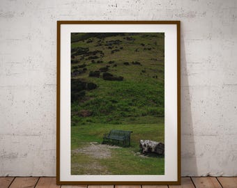 Lone Bench in Carding Mill Valley, Shropshire Hills, England, United Kingdom