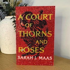 Kit de manualidades para libros ACOTAR DIY / Kit de manualidades para lectores de fantasía y romance / Regalo para amantes de los libros