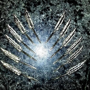 Set 12 gold plastic feather cocktail picks mid century. appetizer picks, hors d&#39;oeuvres picks. golden feathers! Marked EPPY