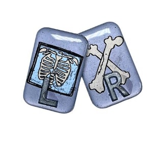 Könnte beinhalten: Zwei hellblaue rechteckige Objekte mit medizinischen Motiven. Eines zeigt eine Rippenkäfig-Illustration mit dem Buchstaben "L", das andere gekreuzte Knochen und den Buchstaben "R". Die Objekte haben eine glänzende Oberfläche.