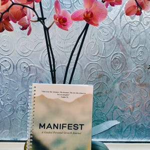 May include: A journal titled "MANIFEST: A Guided Personal Growth Journal" with a landscape design, bound with a spiral. It is positioned in front of a window with a floral design, and a pink orchid plant with dark stems.