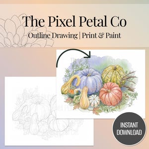 May include: A digital art set featuring The Pixel Petal Co branding, including a black and white line art outline drawing of various pumpkins and gourds alongside a full-color watercolor illustration of the same arrangement with an arrow.