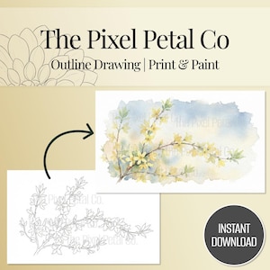 May include: An image featuring a watercolor painting of a flowering branch with yellow blossoms and green leaves against a blue and white background. Below is a black and white outline drawing of the same branch. The text reads "The Pixel Petal Co. Outline Drawing | Print & Paint."