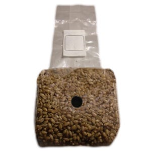 May include: A clear plastic bag filled with brown grains, likely for mushroom cultivation. The bag has a white filter patch and a black injection port. The grains are visible through the transparent material.
