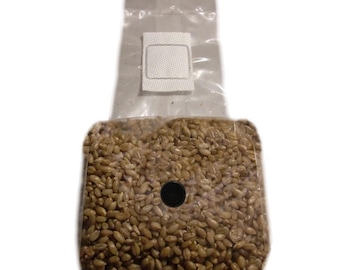 Sterilized Rye Berries - Grain Spawn - 1 lb