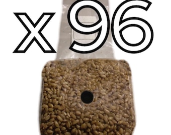Sterilized Rye Berries - Grain Spawn - 96 lbs. (Ninety Six 1 lb. bags)