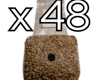 Sterilized Rye Berries - Grain Spawn - 48 lbs. (Forty Eight 1 lb. bags)