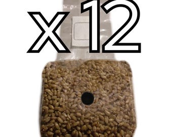 Sterilized Rye Berries - Grain Spawn - 12 lbs. (Twelve 1 lb. bags)
