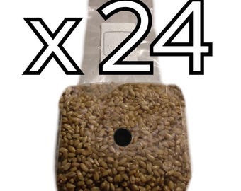 Sterilized Rye Berries - Grain Spawn - 24 lbs. (Twenty Four 1 lb. bags)