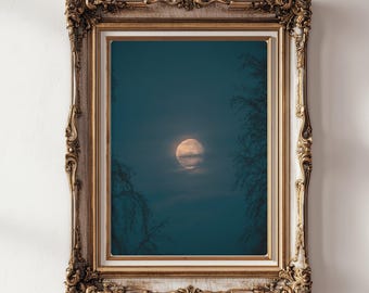 May include: A framed print featuring a full moon in a dark teal sky, with silhouettes of tree branches on either side. The ornate frame has a gold and cream finish, adding a vintage aesthetic to the artwork.