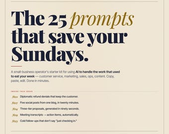 25 AI Prompts for Small Business Owners | ChatGPT Templates for Customer Service, Marketing, Sales | Instant PDF Download