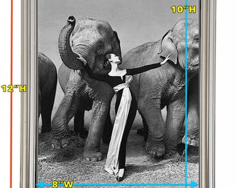 Dovima with Elephants, Evening Dress by Dior, Cirque d'Hiver