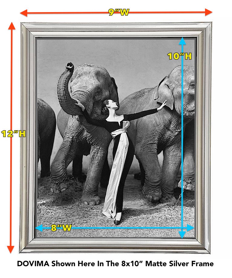 DOVIMA With the Elephants • by Avedon • on Sturdy, HQ 11mil