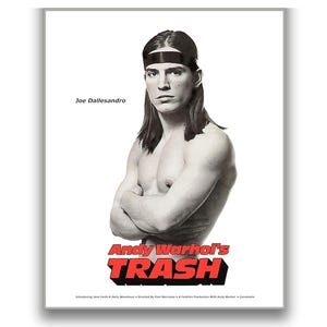 JOE DALLESANDRO • Restaurado digitalmente • Retratos de alta calidad de los años 70 y carteles de películas de Warhol • Réplicas clásicas de alta calidad • ¡Disponibles enmarcados!