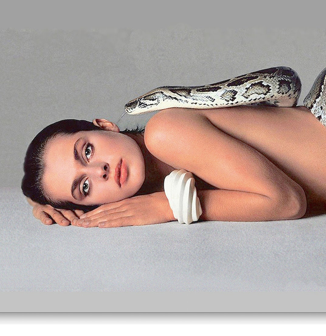 EFEZAC Poster Nastassja Kinski 5 Sur Toile - Décoration Murale