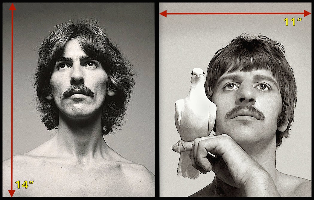 ビートルズ / 1967年アヴェドンの希少な白黒写真を組み合わせた